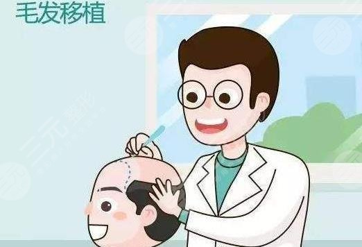 合肥叢生植發(fā)王順霞醫(yī)生簡介