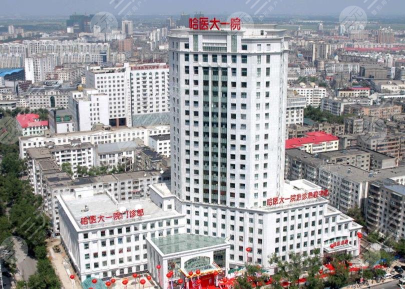 哈爾濱醫(yī)大一院環(huán)境圖