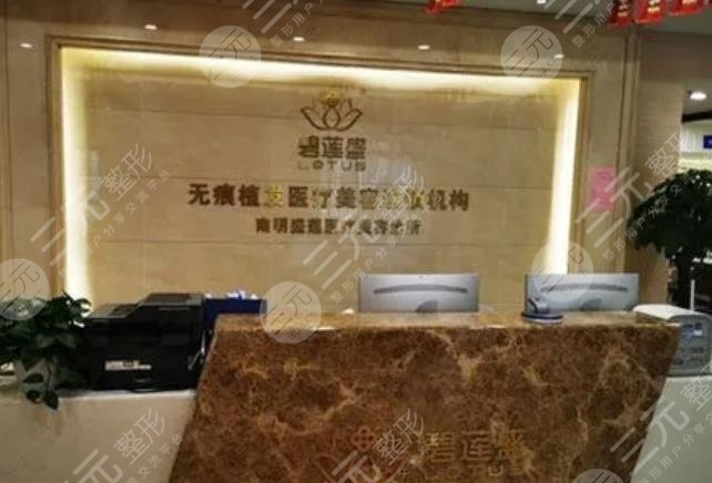 貴陽(yáng)碧蓮盛植發(fā)