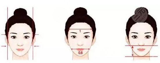 結(jié)下的顴骨顴弓