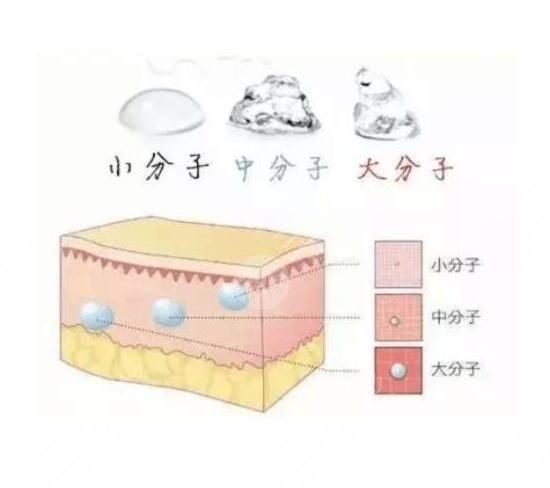 <b>注射膠原蛋白除皺多少錢</b>