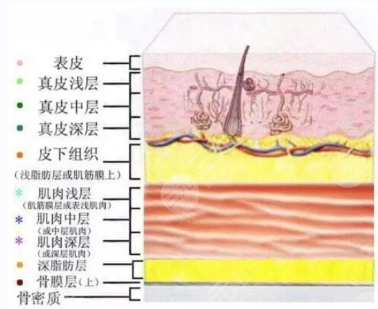 注射美容為什么受歡迎