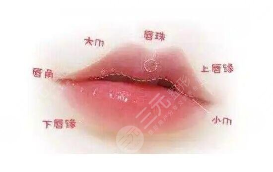 玻尿酸豐唇珠圖片~性感女神必備“武器”