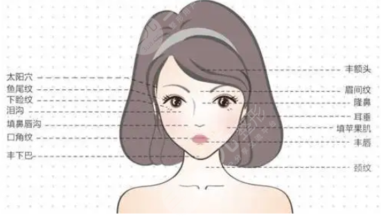 公主玻尿酸多少錢一支？?jī)r(jià)格大起底！