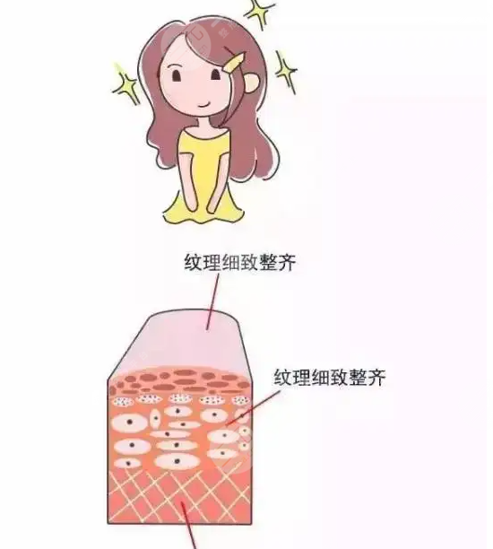 膠原蛋白面部填充怎么樣？能管多久，多少錢？術(shù)前必看科普！