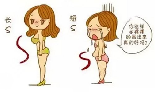 火鳳凰溶脂多久做一次