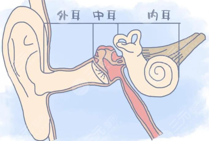 耳畸形再造手術醫(yī)保能報銷嗎？手術大概需要多少錢？需要掏空錢包來做嗎？