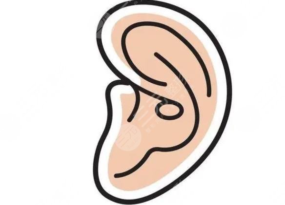 耳畸形再造手術