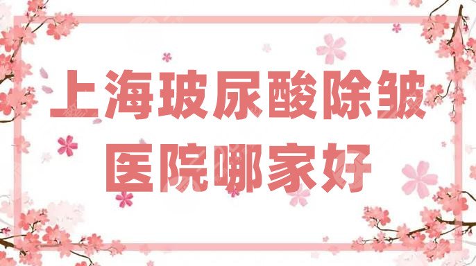 上海玻尿酸除皺醫(yī)院哪家好