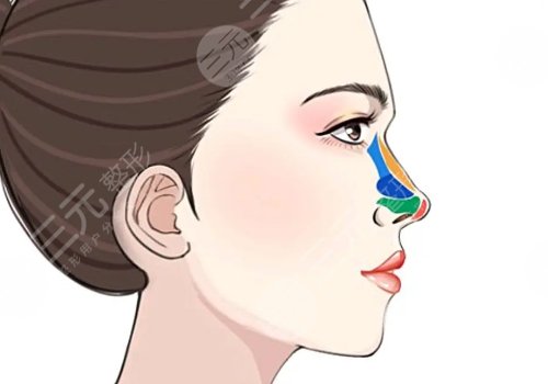 郭樹忠醫(yī)生擅長項目介紹