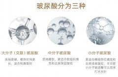 玻尿酸的作用是什么？3種不同用途，助你魅力滿分的秘密揭曉！