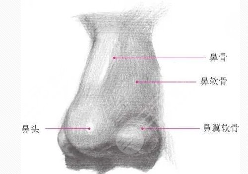 鼻頭鼻翼縮小影響因素介紹
