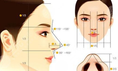 怎么讓鼻梁變高？