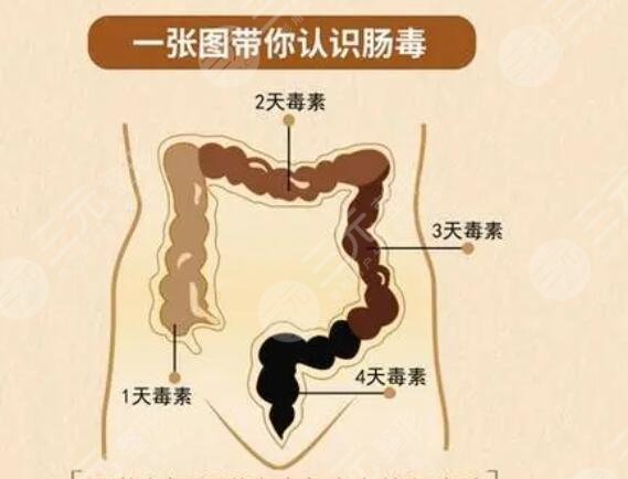 清腸道排宿便有的方法有哪些？5個小妙招現(xiàn)學(xué)現(xiàn)用！果是網(wǎng)友們稱贊的~