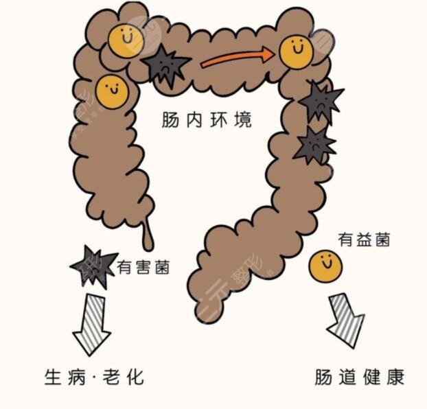 清腸道排宿便有的方法有哪些?