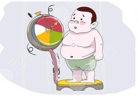 易胖體質(zhì)減肥方法