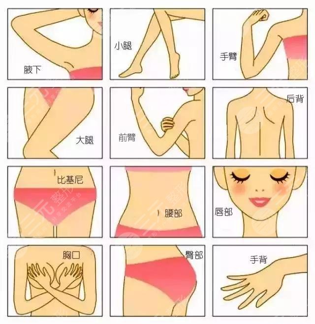 冰點脫毛和激光脫毛的區(qū)別