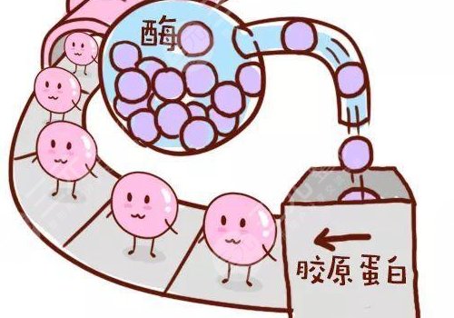 薇旖美三型膠原蛋白價格是多少？