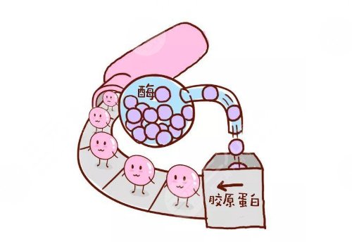 膠原蛋白填充臉部多少錢？