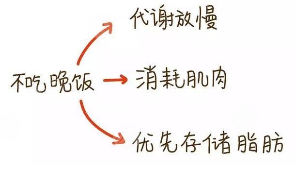 晚餐要適量，健康更重要