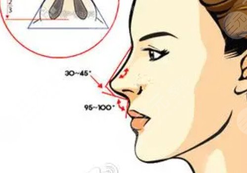 鼻梁山根低怎么辦？