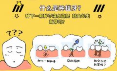 種植牙的利與弊分析對(duì)比！牙齒缺失，修復(fù)指南來幫你！