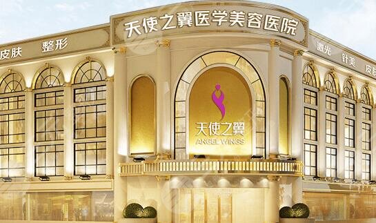 成都天使之翼旗艦店秦志慧簡介