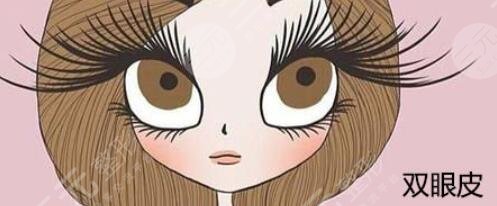 雙眼皮