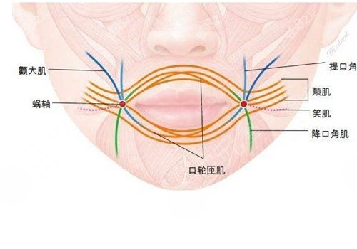 縮短人中的手術(shù)危險(xiǎn)嗎？
