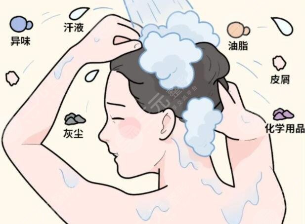 多久洗一次頭健康？科學(xué)洗頭間隔時(shí)間一般是2-3天左右