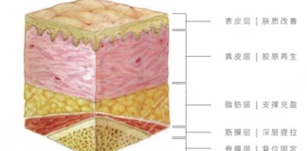 珍致madm膠原蛋白