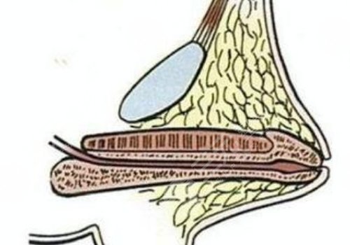玻尿酸男性增大注射要多少錢(qián)？