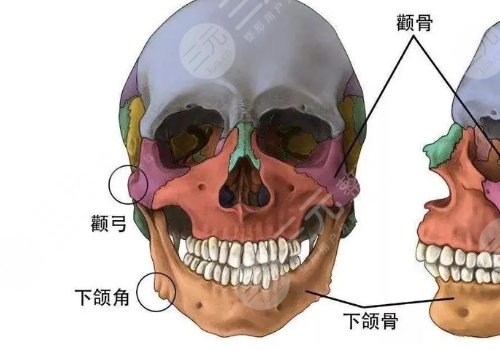 臉部骨骼變形能矯正嗎？