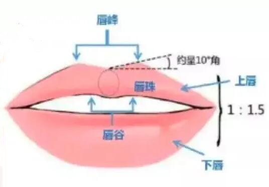 唇部受到傷之后可以整形嗎？整形手術科普+收費價格參考！