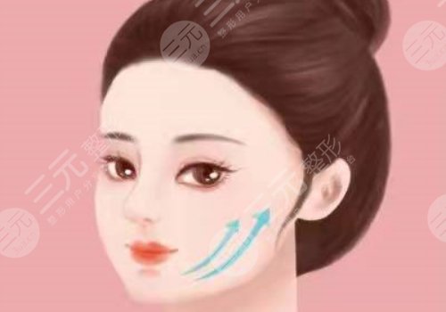 外輪廓包括哪些部位？