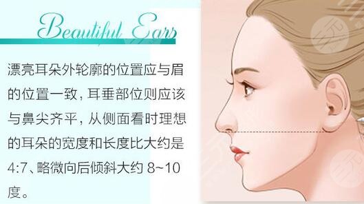 耳輪微整形大概多少錢？耳部整形項(xiàng)目價(jià)格大全查詢！