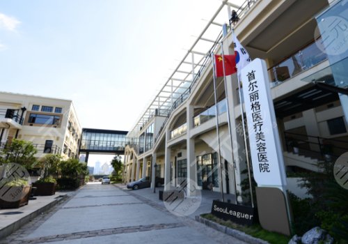 國內(nèi)整形醫(yī)院排名前十