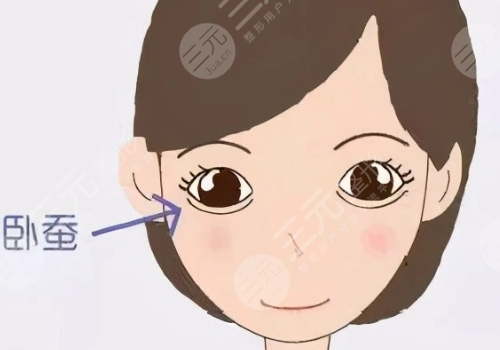 臥蠶填充用什么填好？