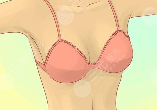 哪種胸型更好看？