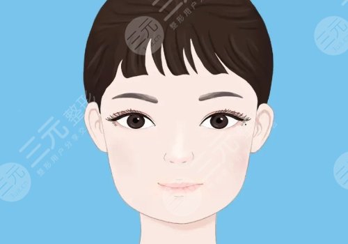 臉部輪廓固定能維持多久？