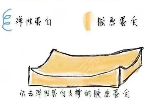 雙美膠原蛋白的作用與功效有哪些？