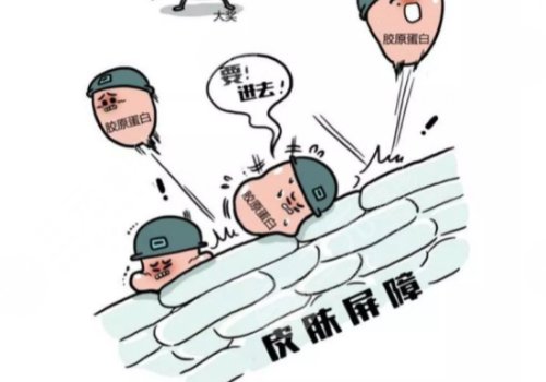 雙美膠原蛋白的作用與功效有哪些？