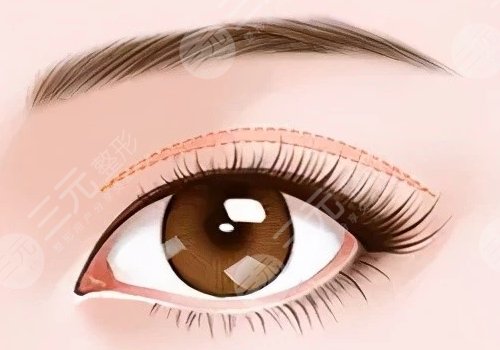 浙江大學(xué)醫(yī)學(xué)院附屬第一醫(yī)院整形外科技術(shù)怎么樣？