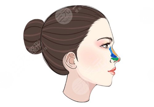 翹鼻和直鼻哪個好看