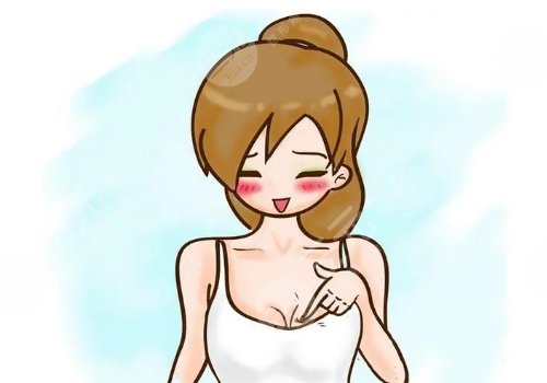 法國(guó)伊思雅胸假體多少錢