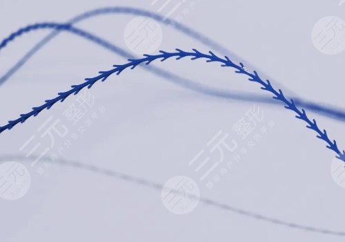 美國強(qiáng)生魚骨線雕多少錢