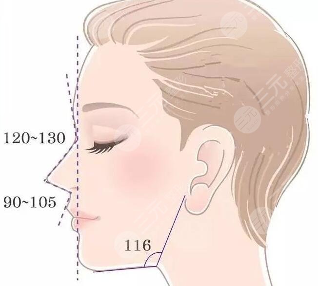 媽生鼻是用什么材料做的？