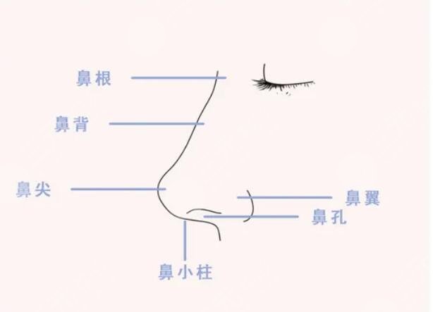 媽生鼻手術(shù)后需要注意什么？