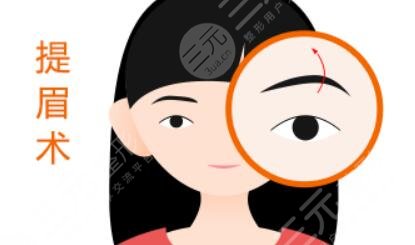 【新】  提眉手術恢復1一3個月的圖片