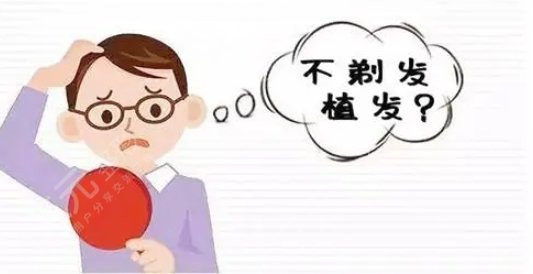 不剃發(fā)種植